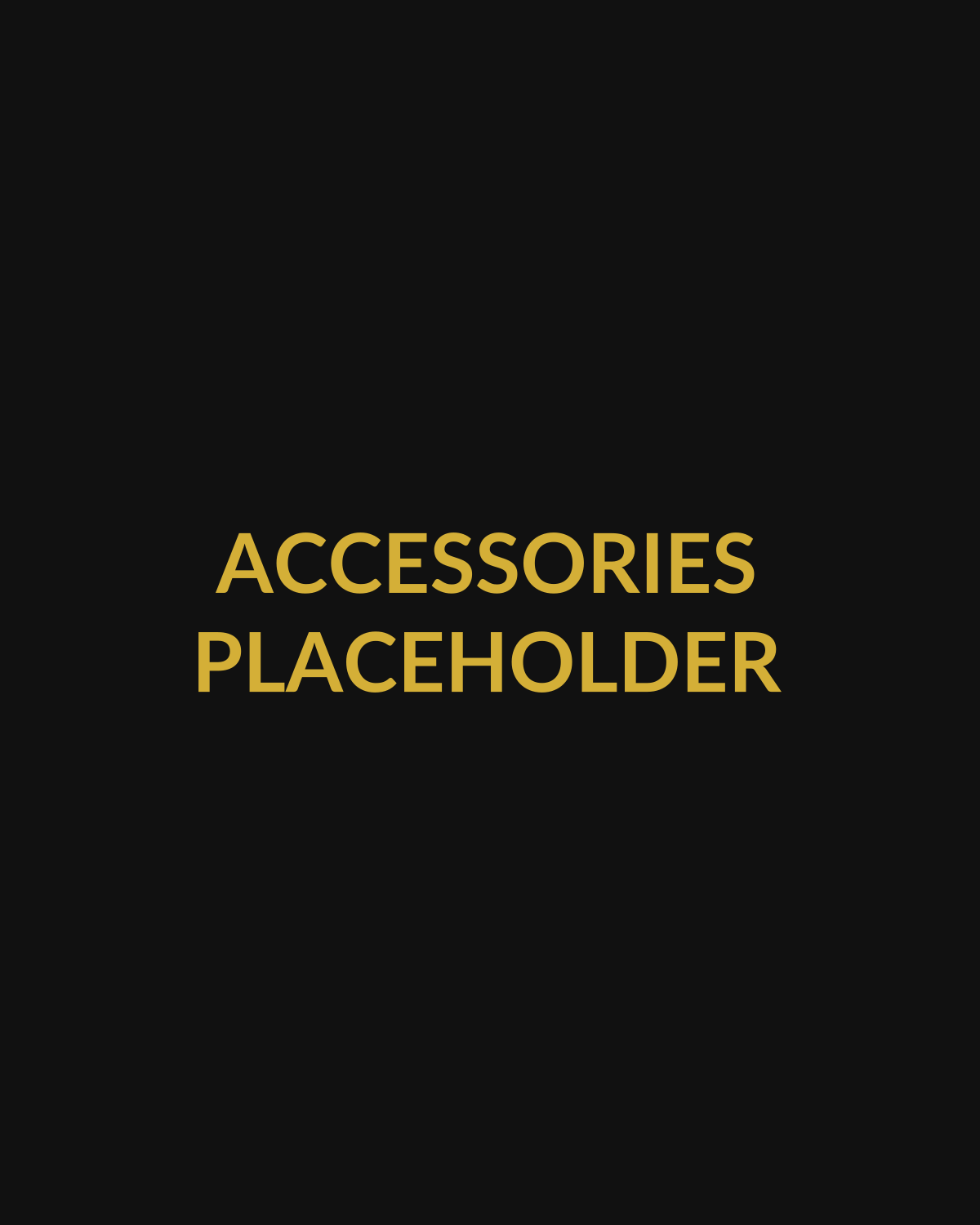 Accessories placeholder — display test only